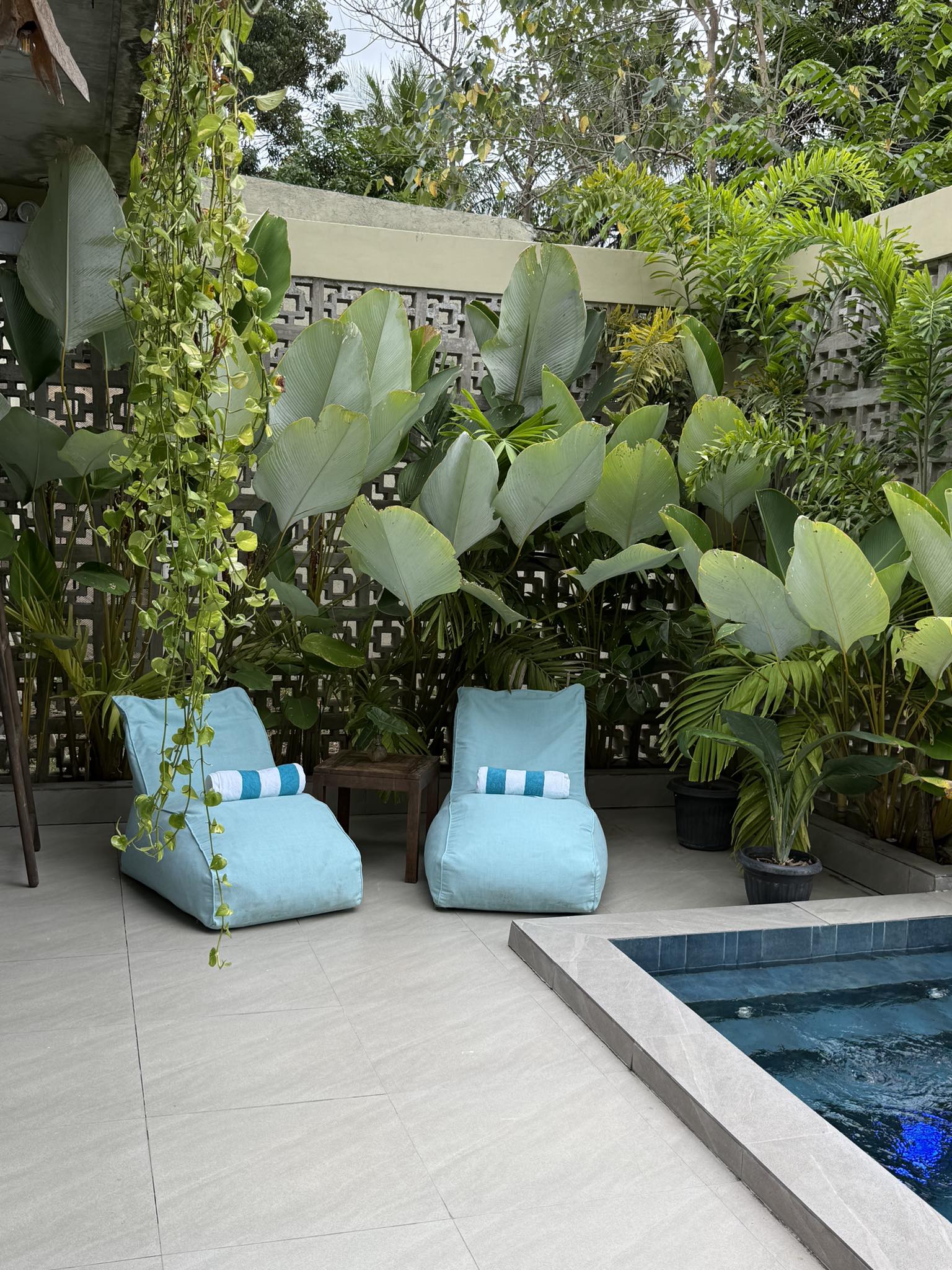 Lush garden