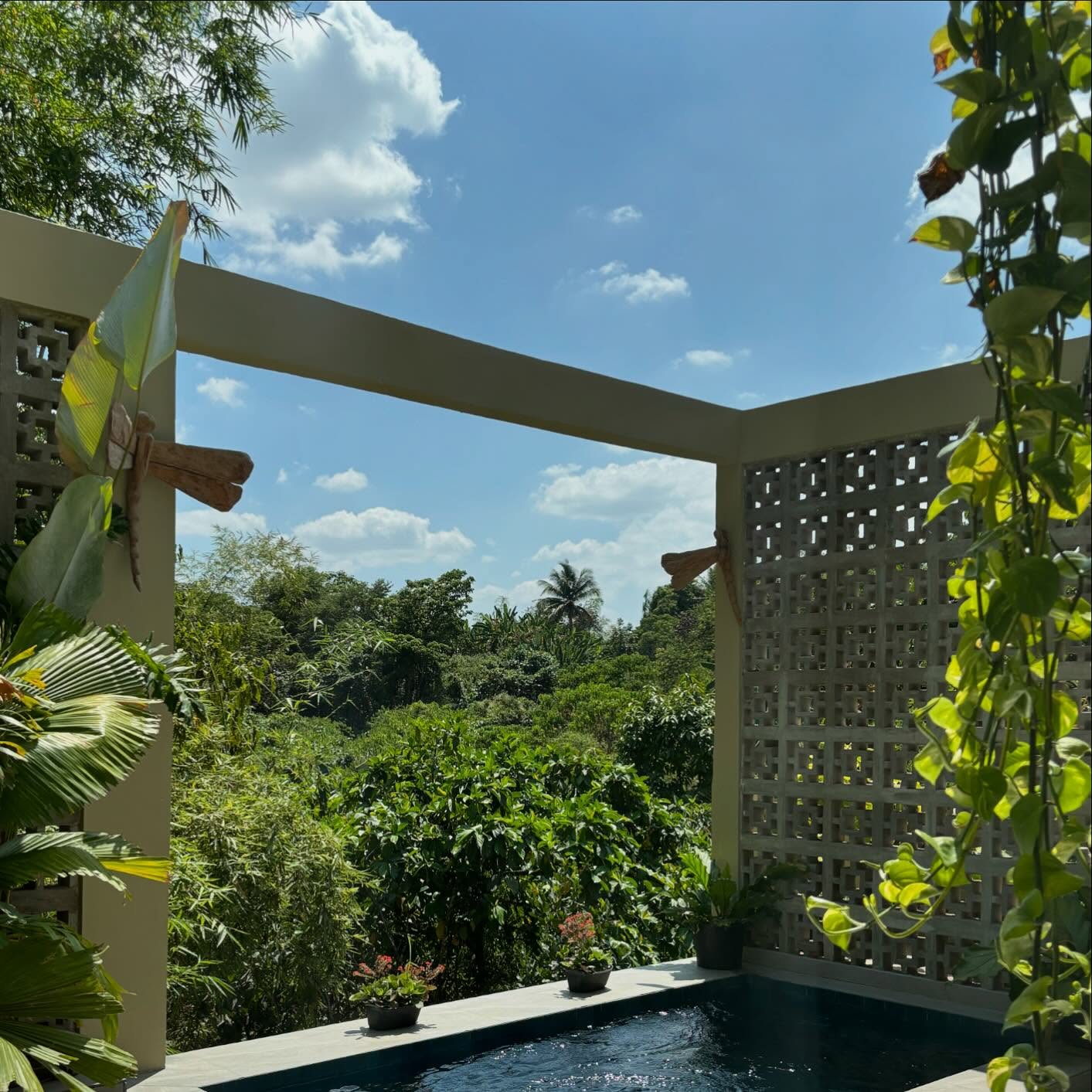 Garden pool